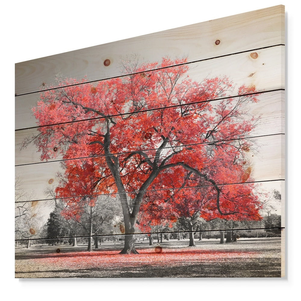 Designart | Wall Art, Mirrors, Chairs, Clocks and More