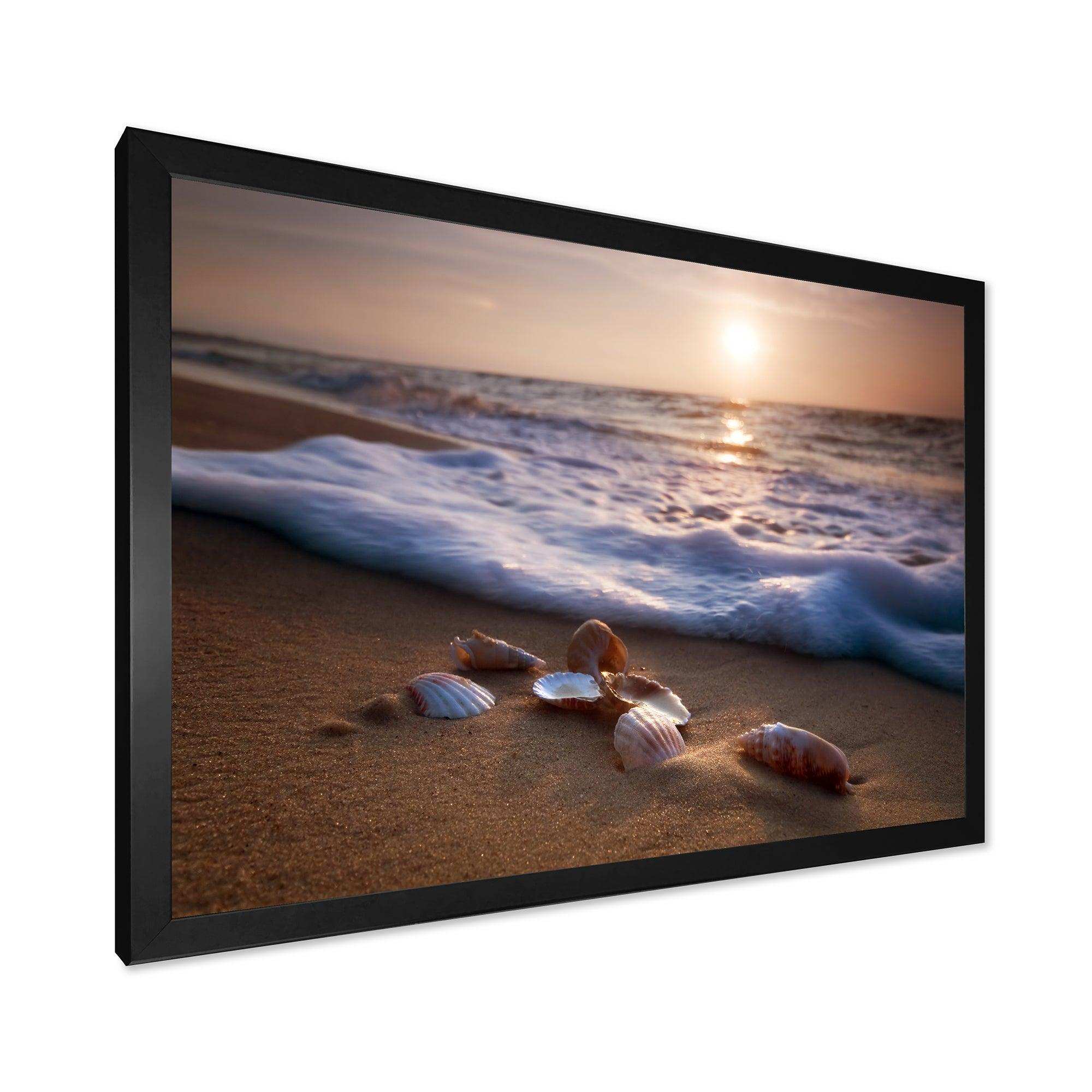 Waves Approaching Seashells on Sand