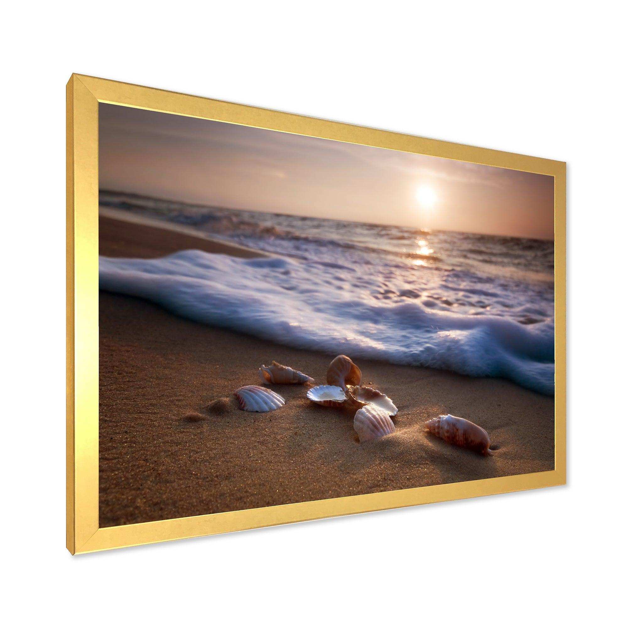 Waves Approaching Seashells on Sand