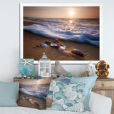 Waves Approaching Seashells on Sand