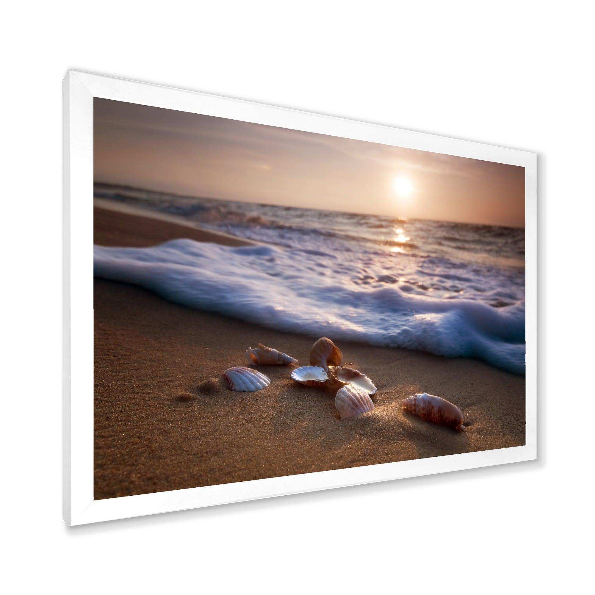 Waves Approaching Seashells on Sand