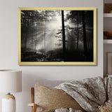 Black And White Forest Silence Photography I - Landscapes Canvas Wall Art