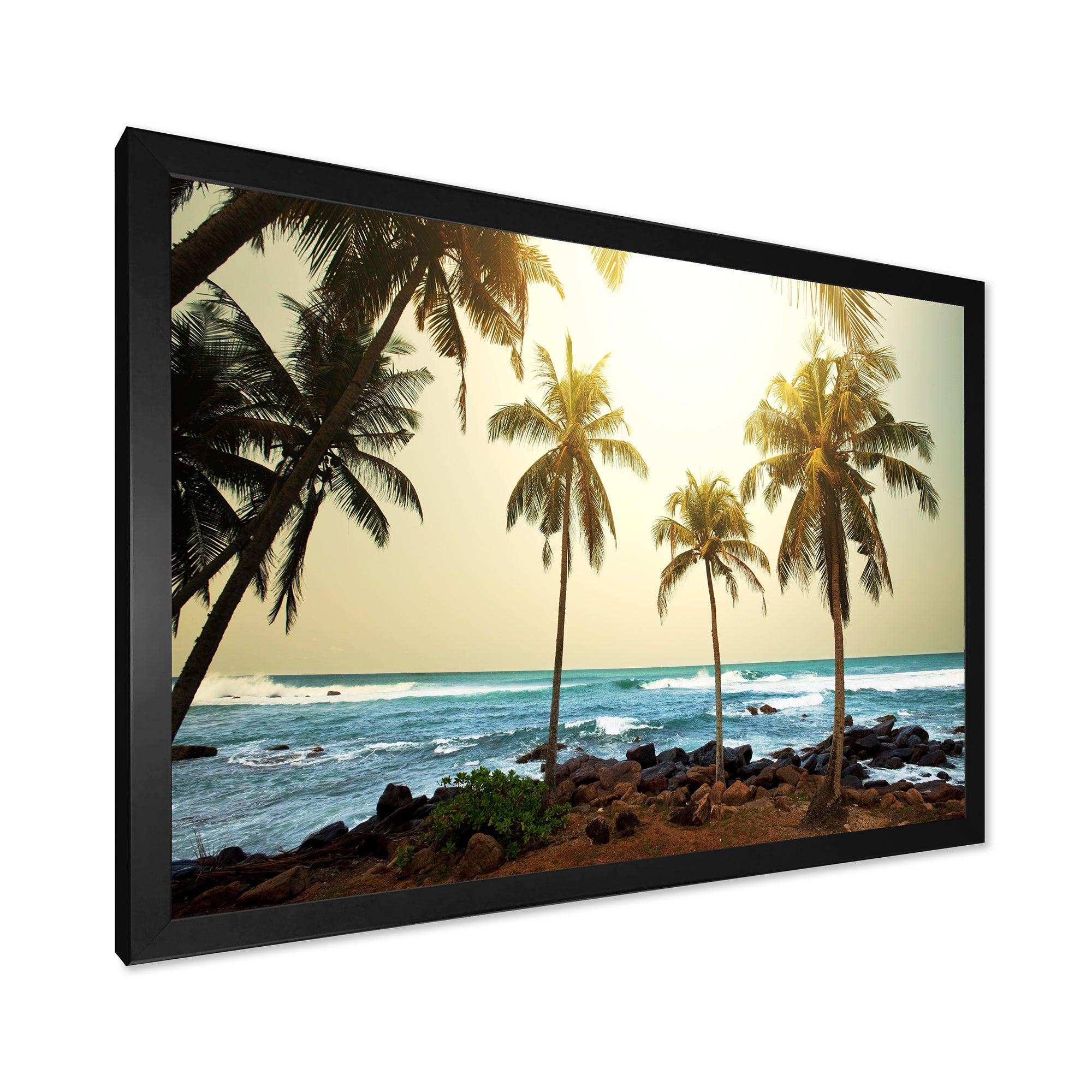 Rocky Tropical Beach with Palms