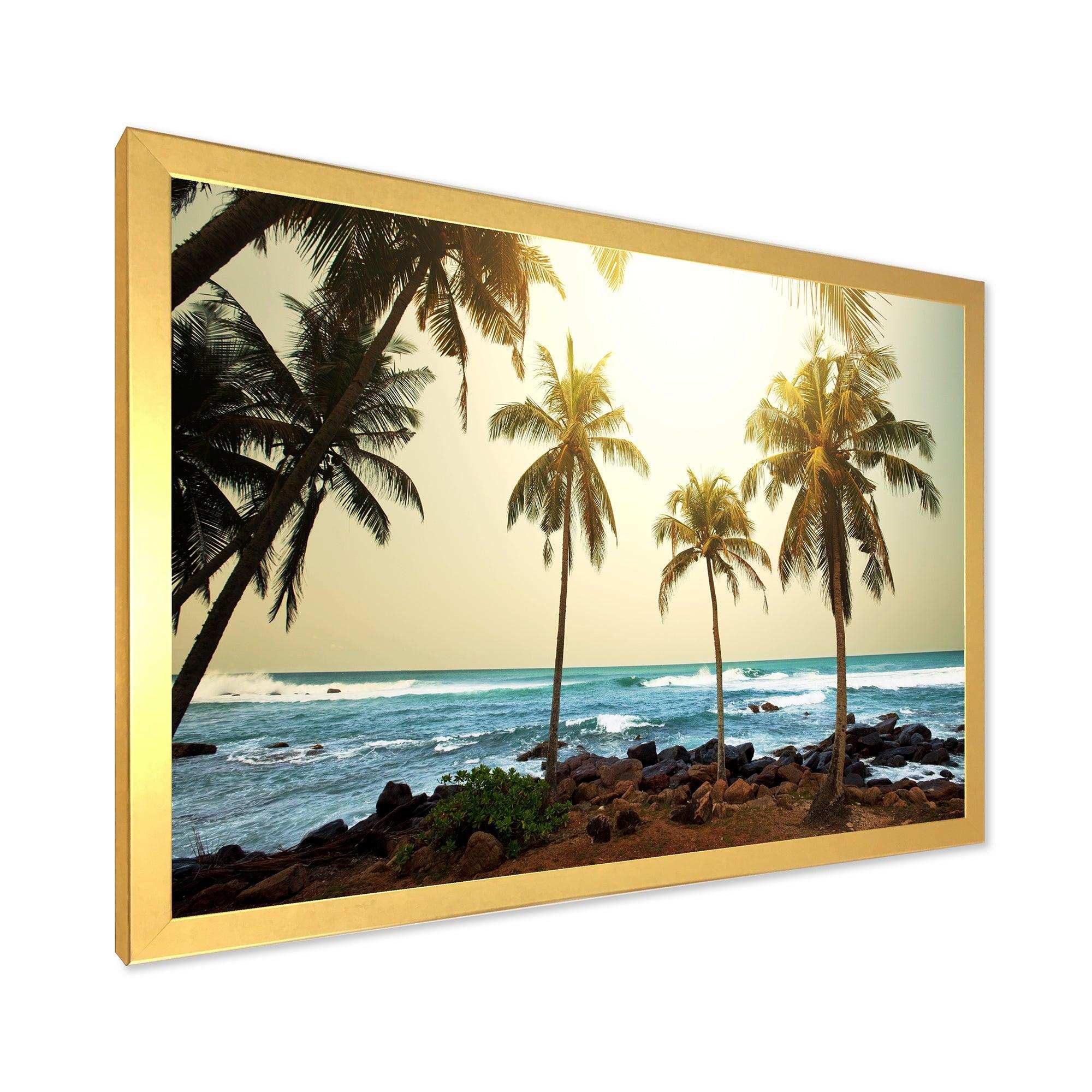 Rocky Tropical Beach with Palms