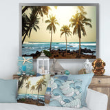 Rocky Tropical Beach with Palms