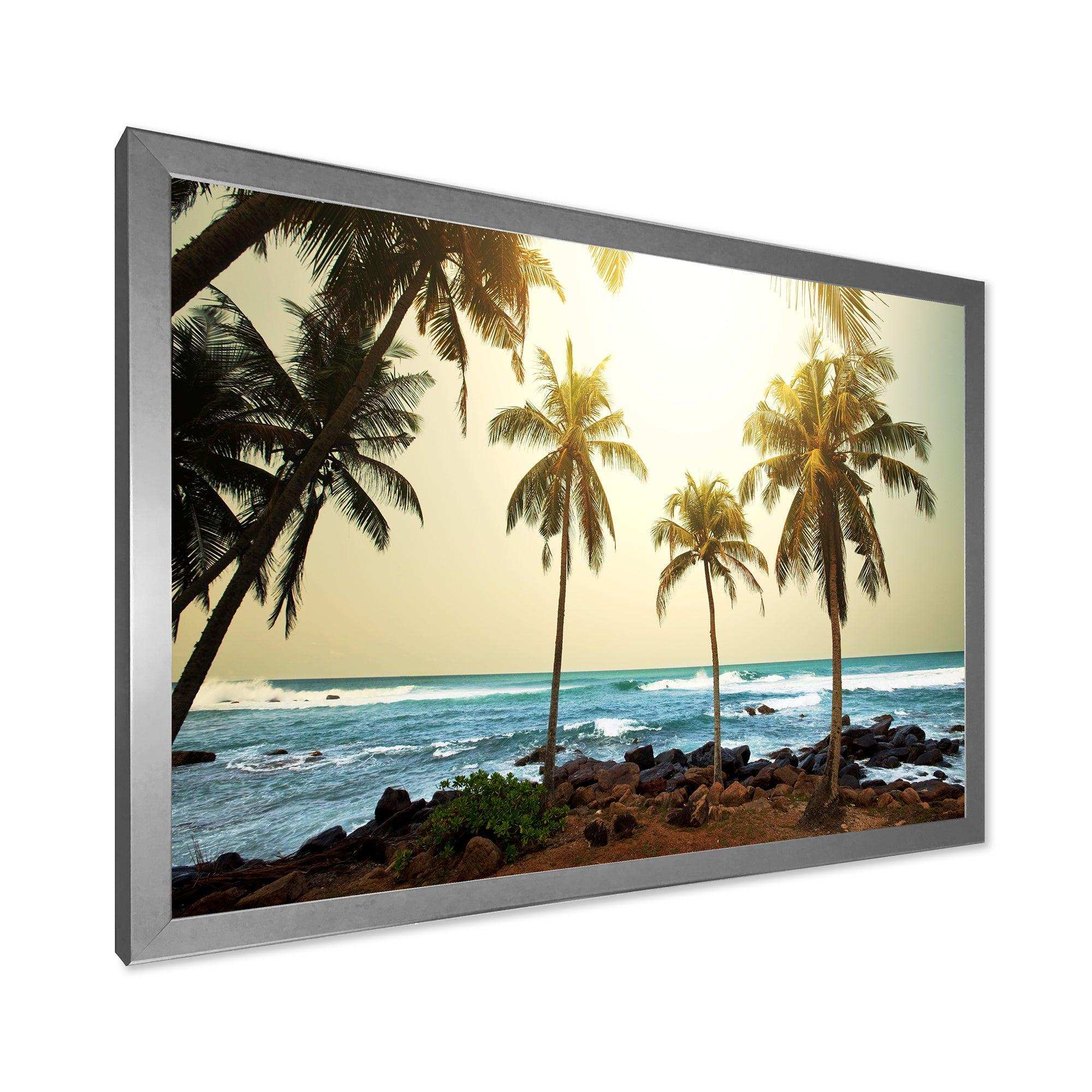 Rocky Tropical Beach with Palms