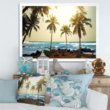 Rocky Tropical Beach with Palms