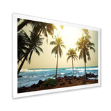 Rocky Tropical Beach with Palms