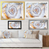 Great Skeleton of Sea Shell