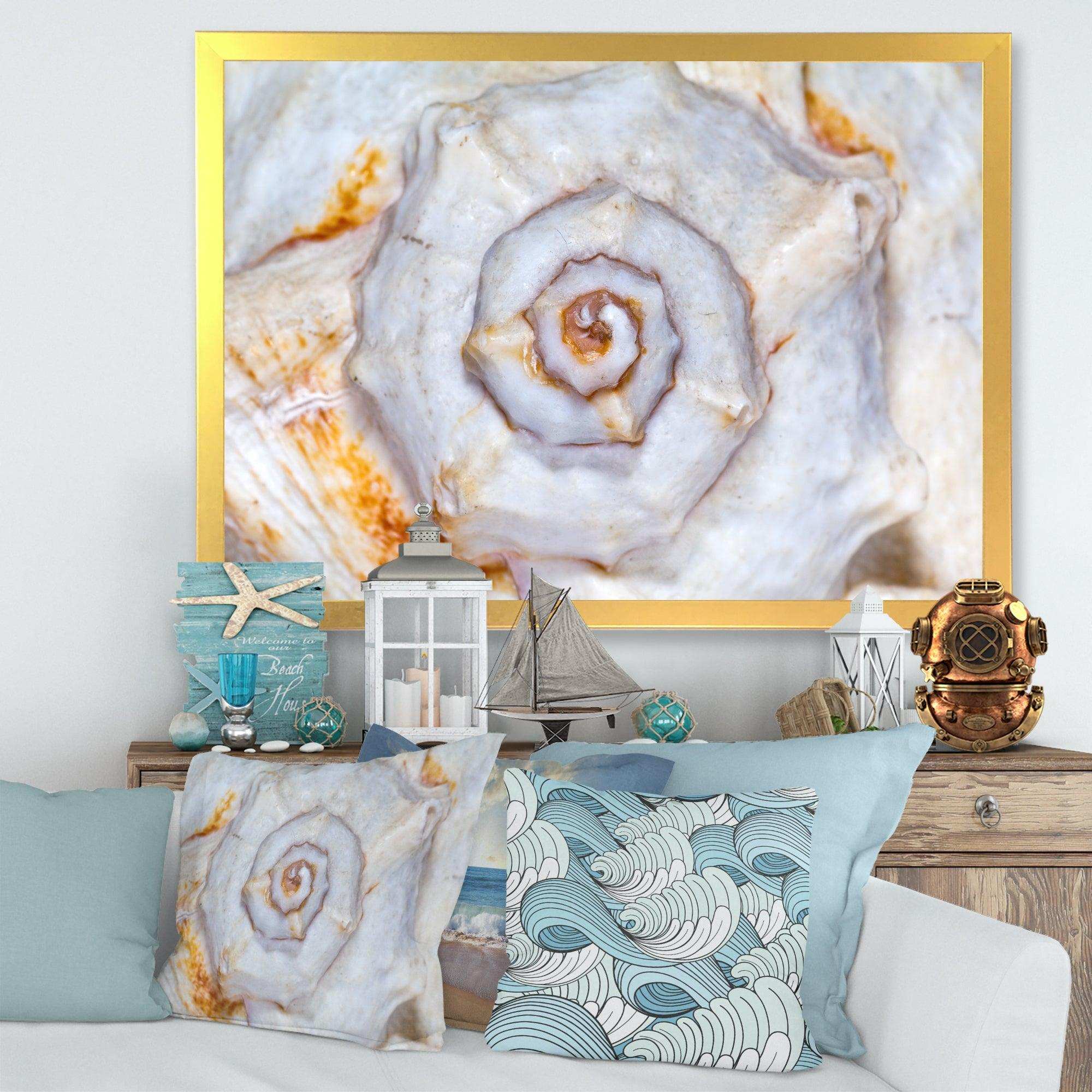 Great Skeleton of Sea Shell