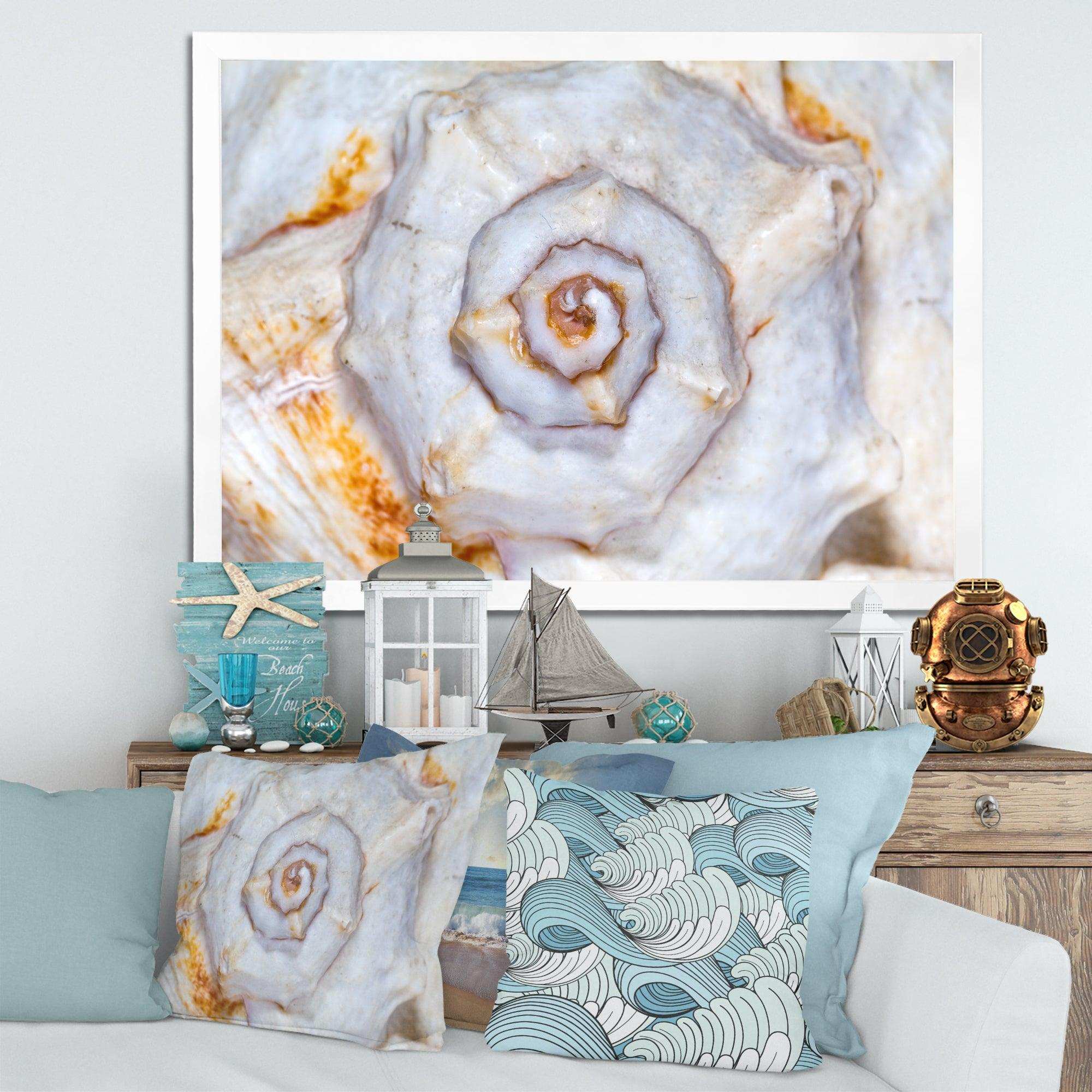 Great Skeleton of Sea Shell