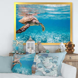 Large Hawksbill Sea Turtle