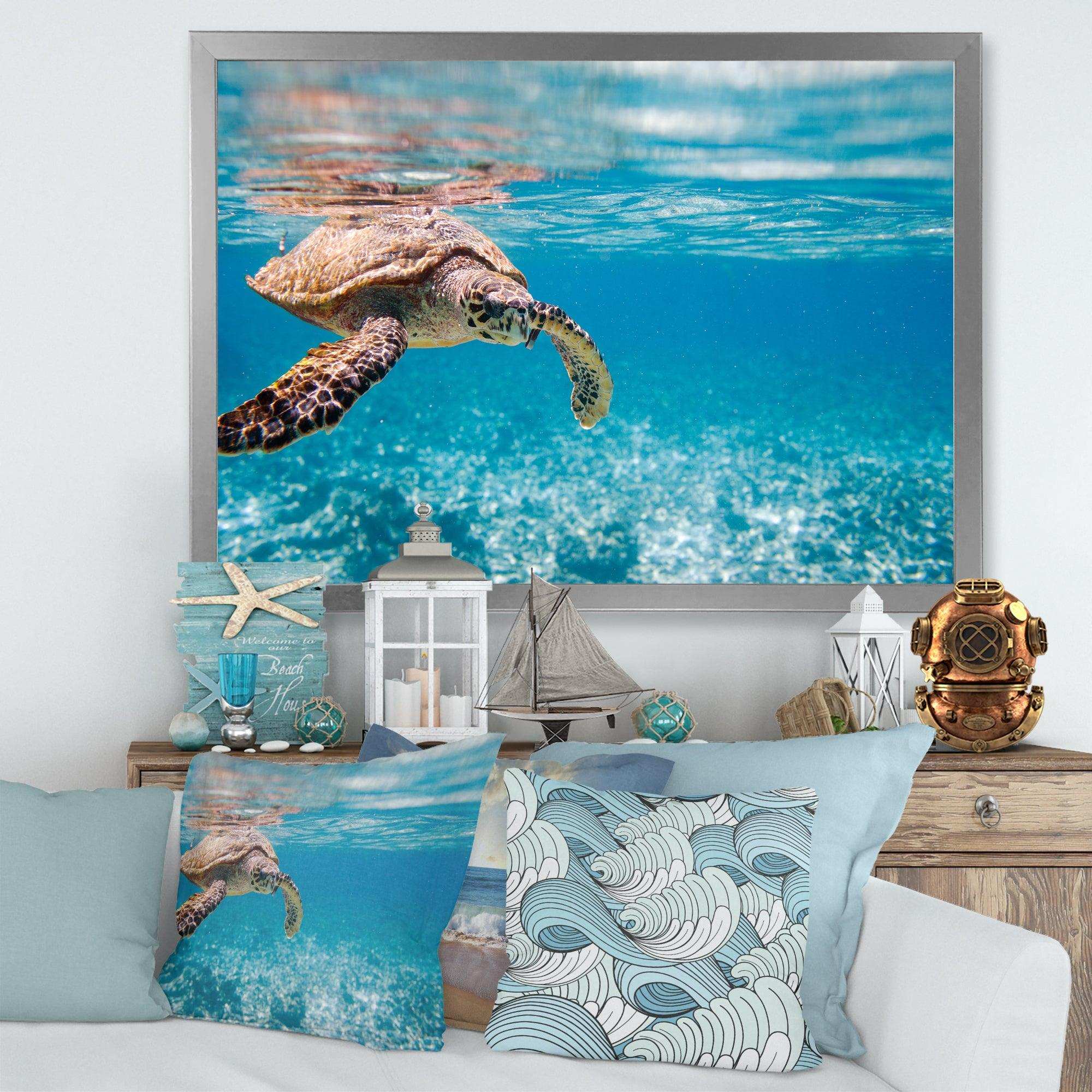 Large Hawksbill Sea Turtle