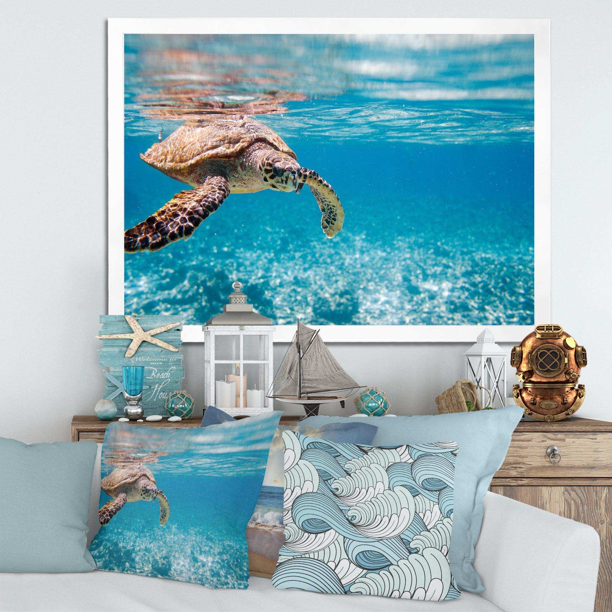 Large Hawksbill Sea Turtle