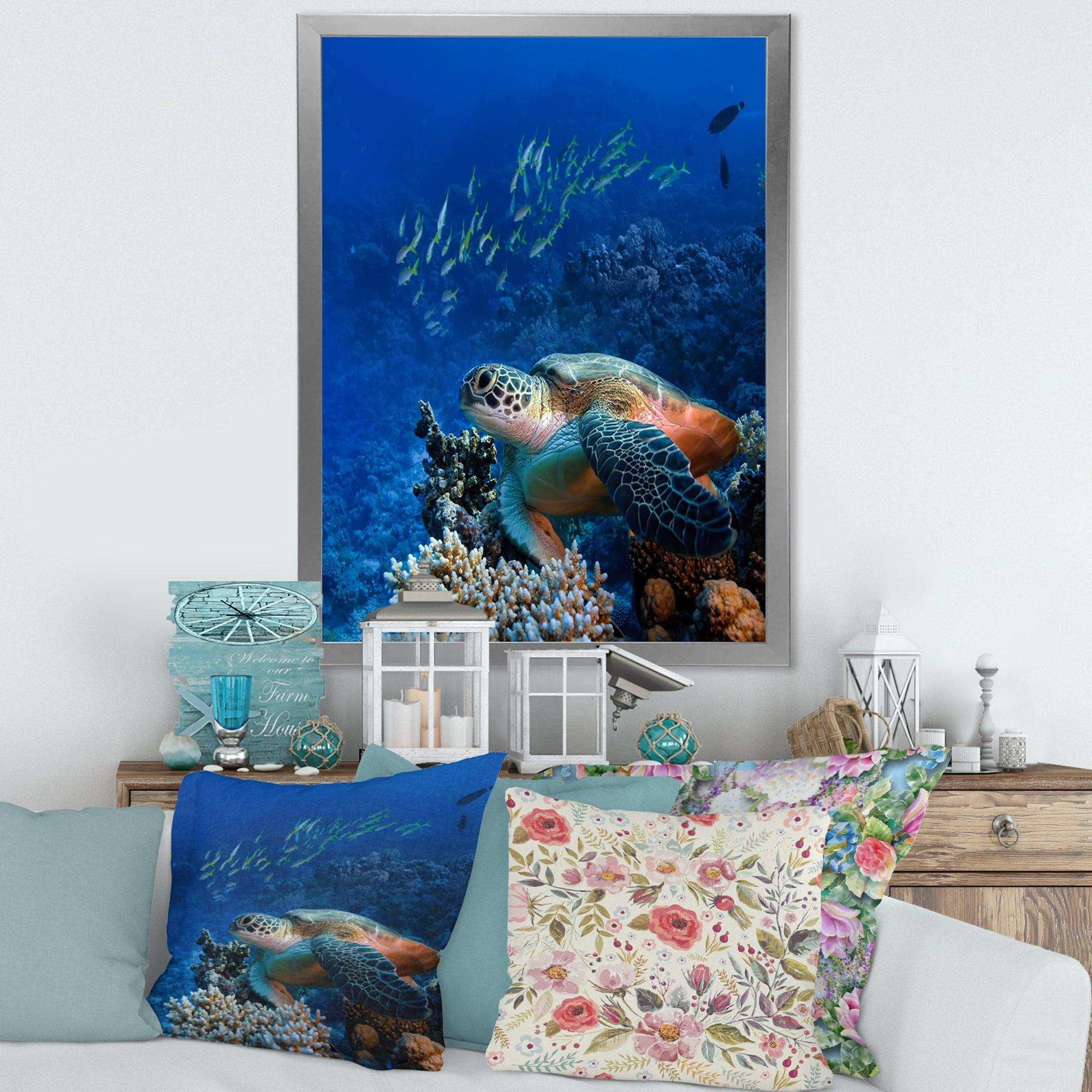 Large Sea Turtle underwater