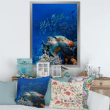 Large Sea Turtle underwater