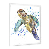 Blue Sea Turtle