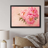 Peony Flowers against Scribbled Back