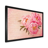 Peony Flowers against Scribbled Back