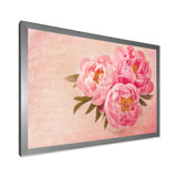 Peony Flowers against Scribbled Back