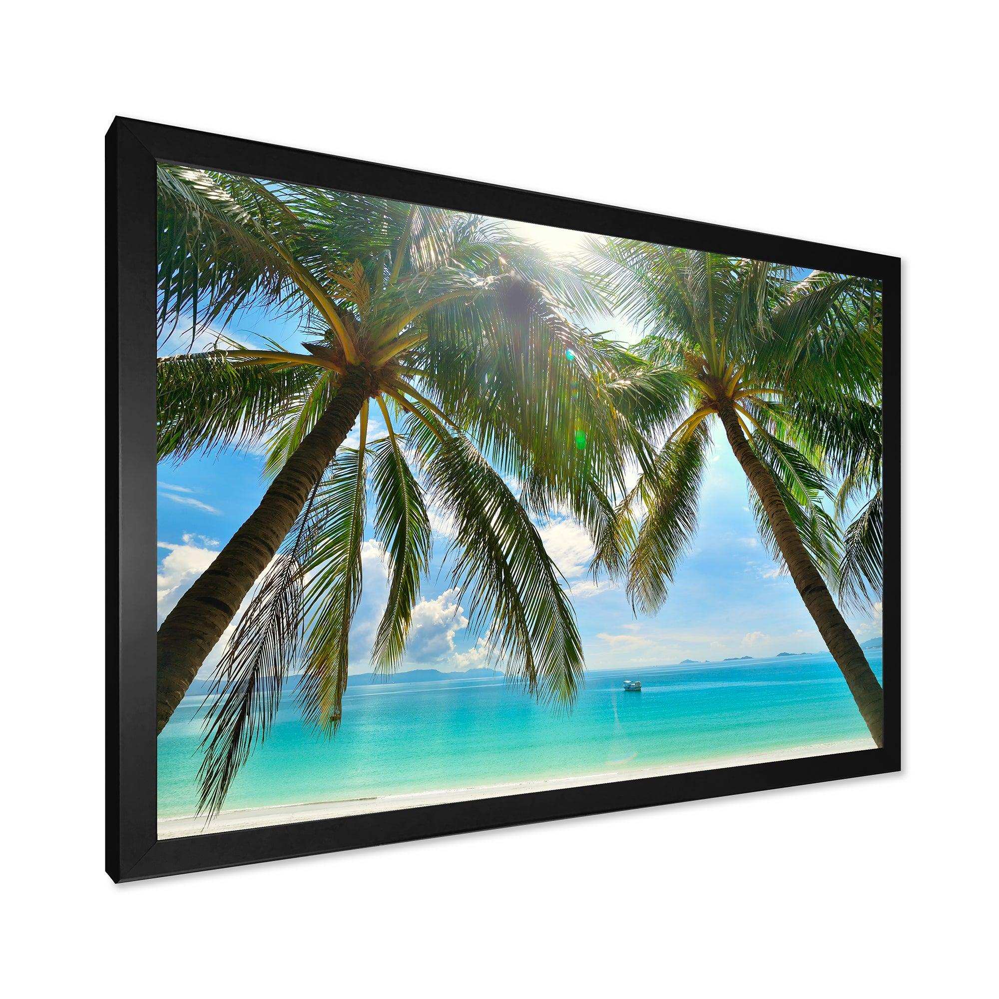 Palm Hanging over Sandy White Beach