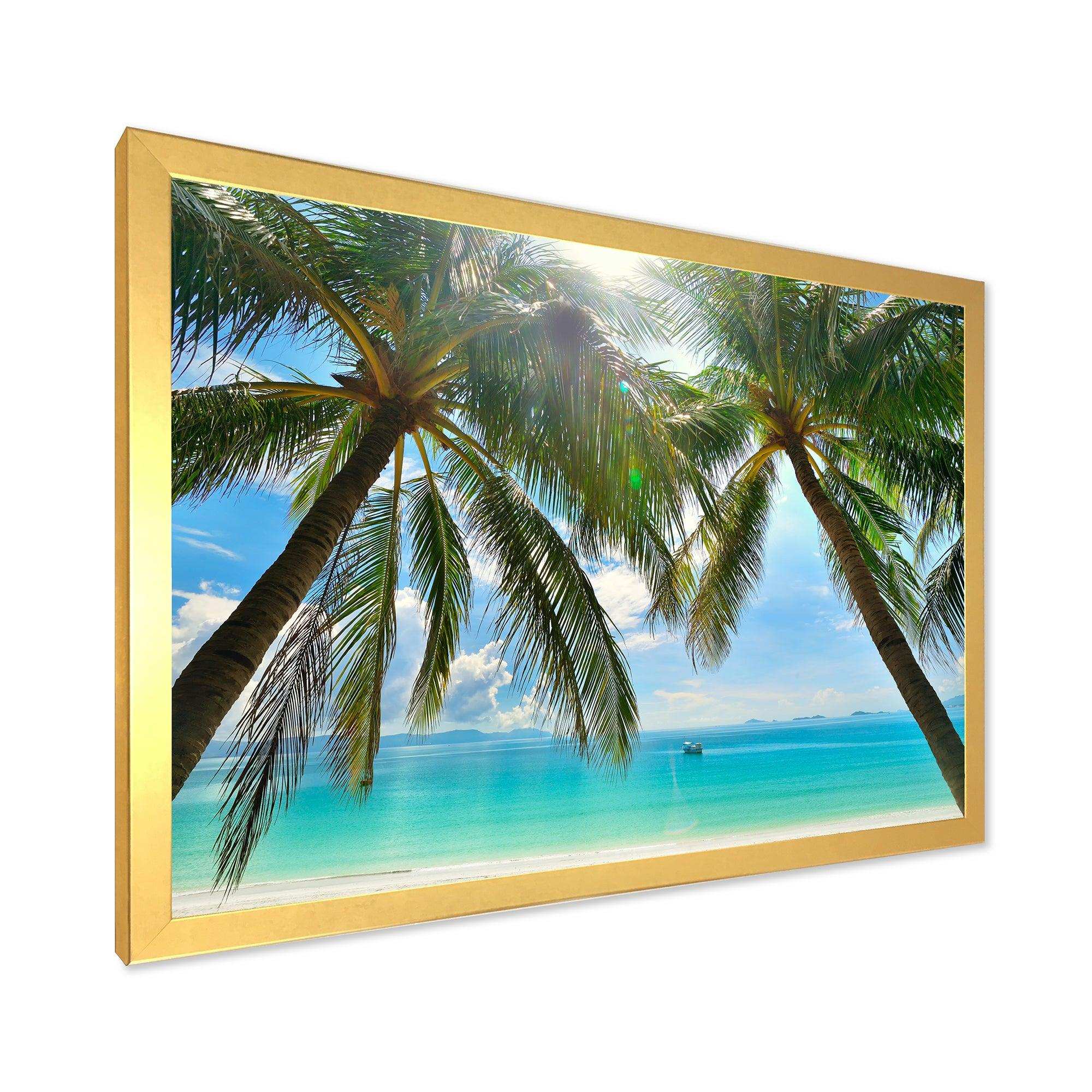 Palm Hanging over Sandy White Beach