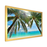 Palm Hanging over Sandy White Beach