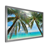 Palm Hanging over Sandy White Beach