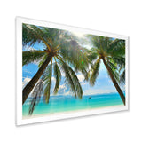 Palm Hanging over Sandy White Beach