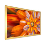 Massive Orange Fractal Flower