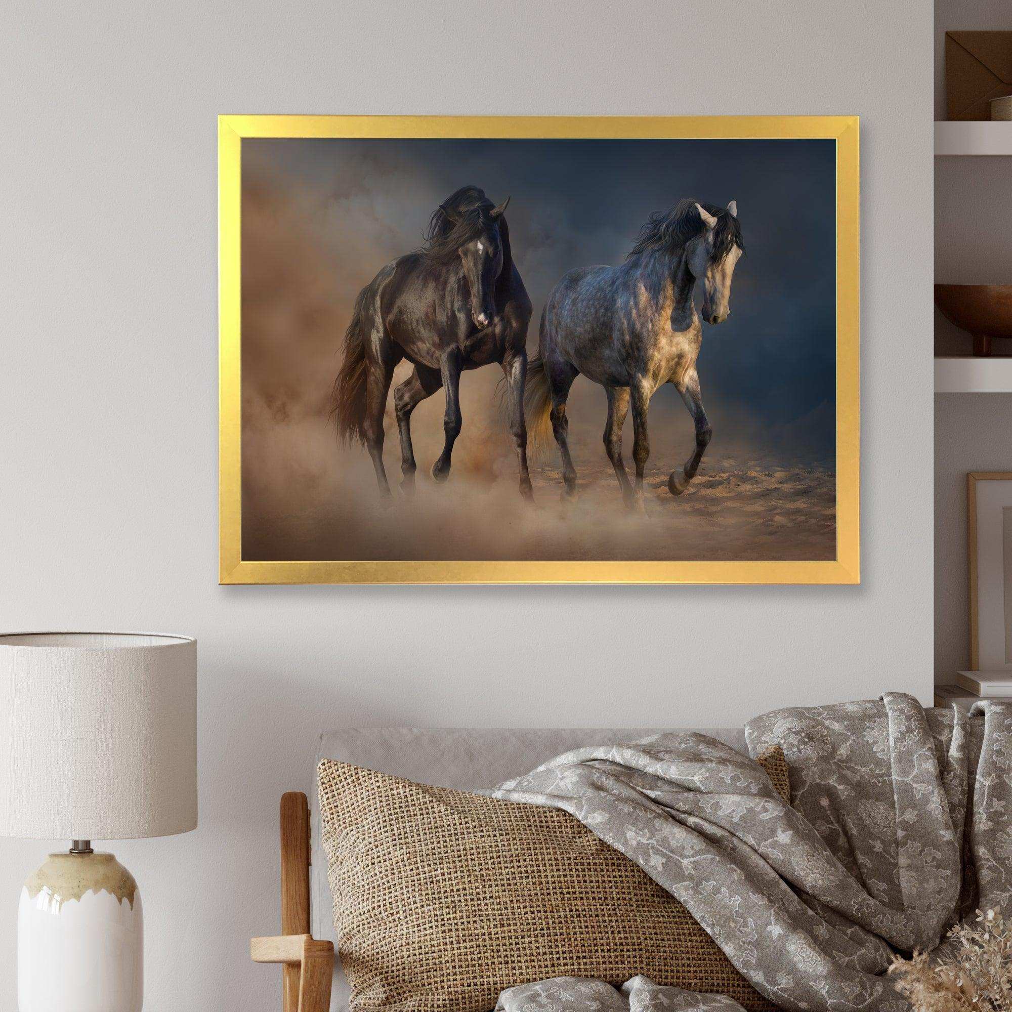 Black and white horse run