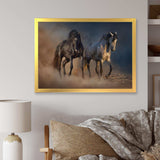 Black and white horse run