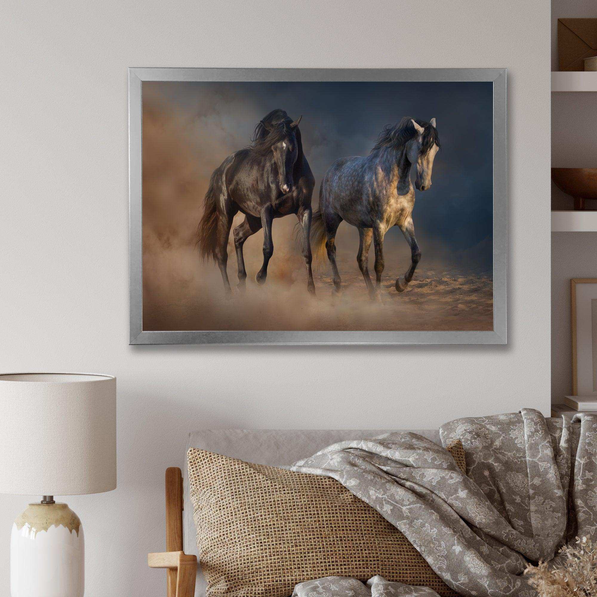 Black and white horse run