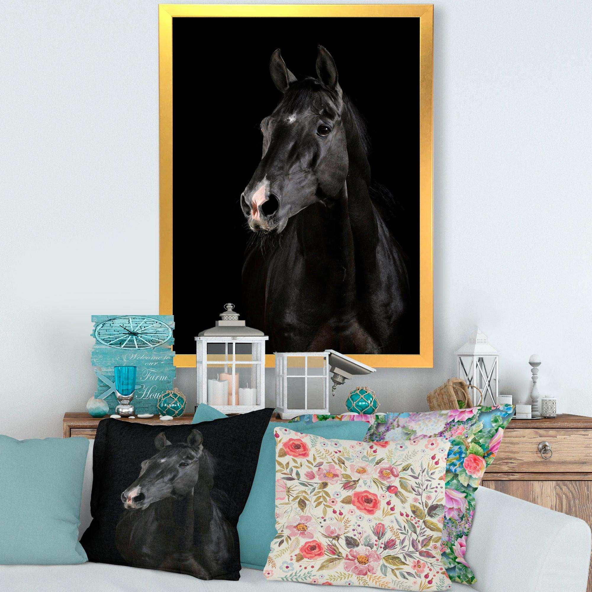 Black horse in darkness