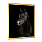 Black horse in darkness