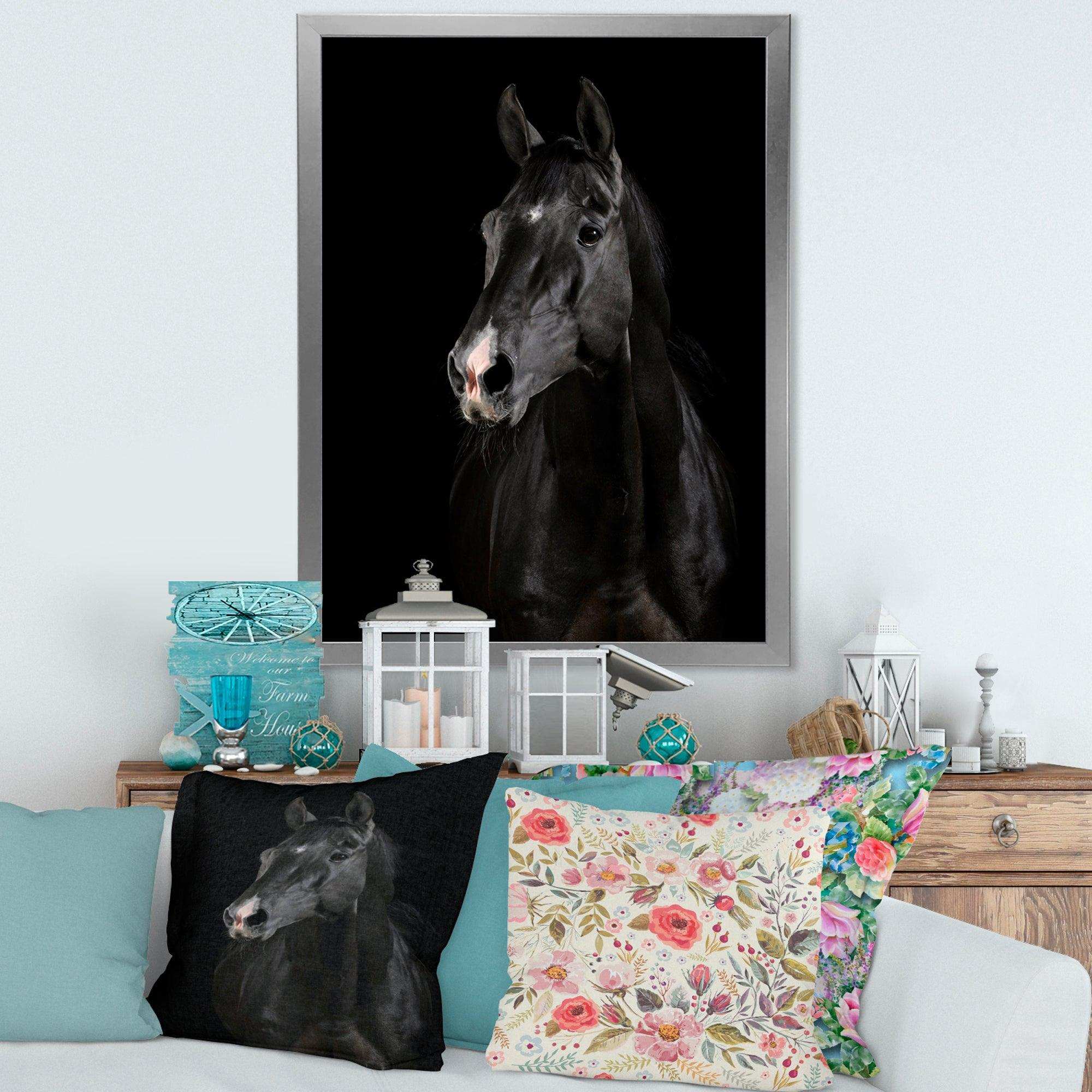 Black horse in darkness