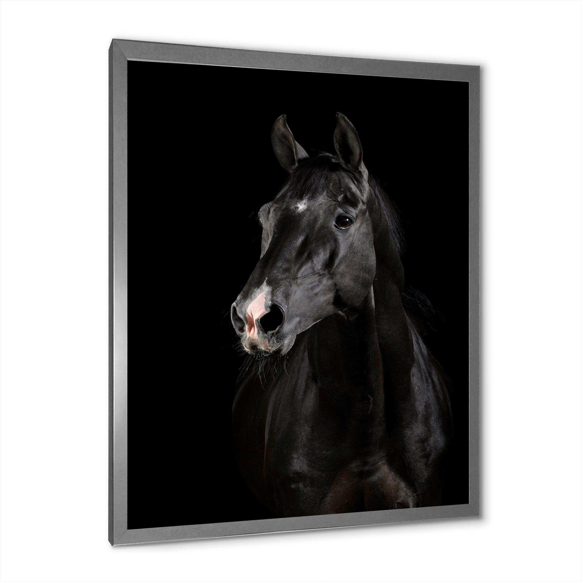 Black horse in darkness