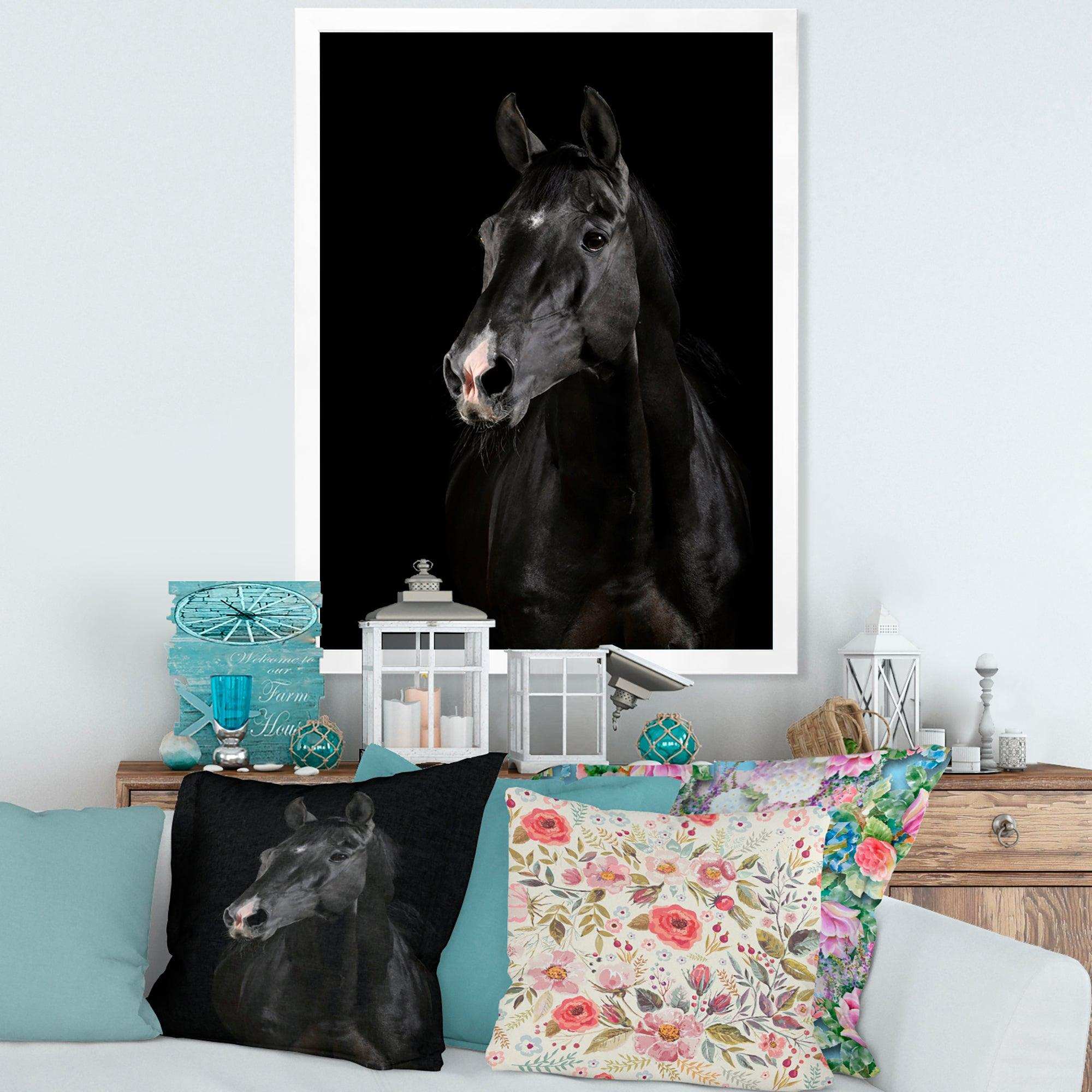 Black horse in darkness