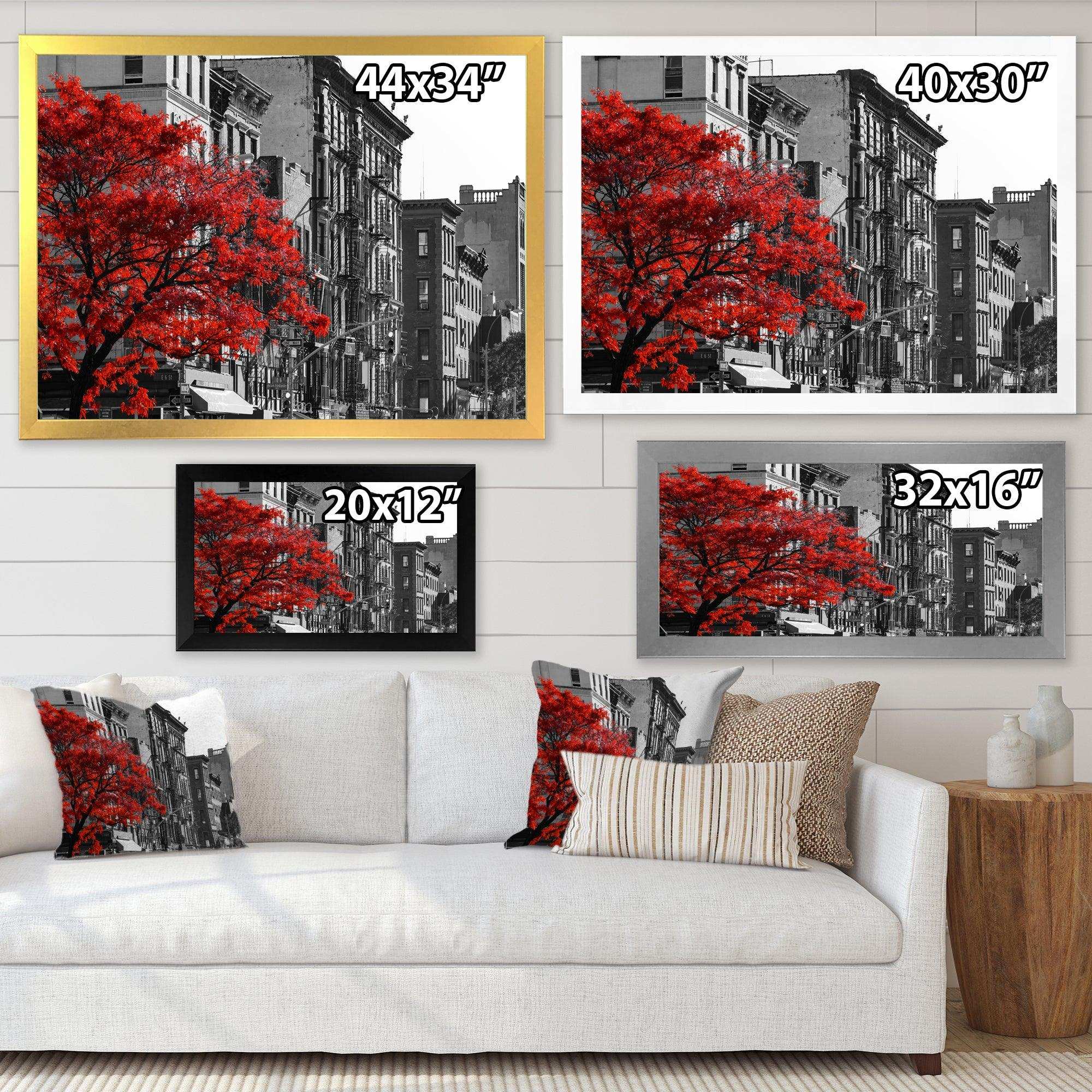 Red Tree on Black and White New York City Street