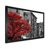Red Tree on Black and White New York City Street