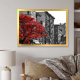 Red Tree on Black and White New York City Street