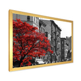 Red Tree on Black and White New York City Street
