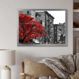 Red Tree on Black and White New York City Street
