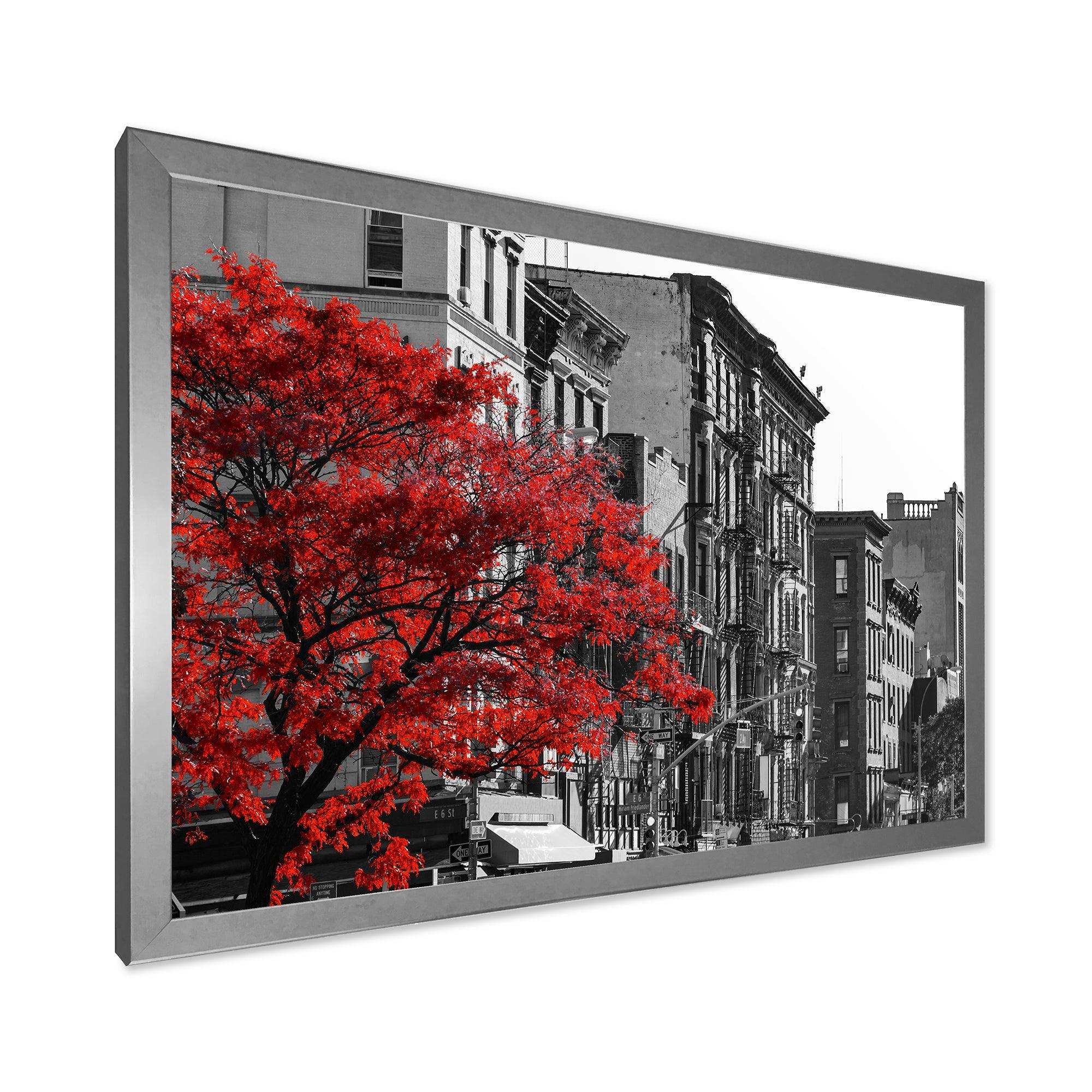 Red Tree on Black and White New York City Street