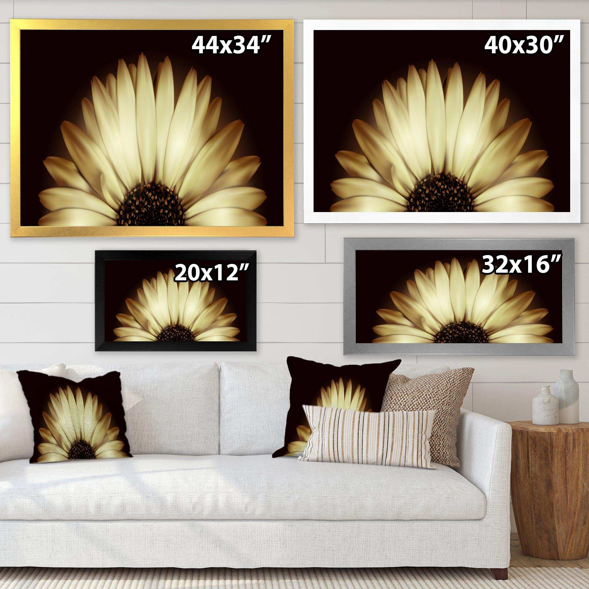 Sunflower in Black background