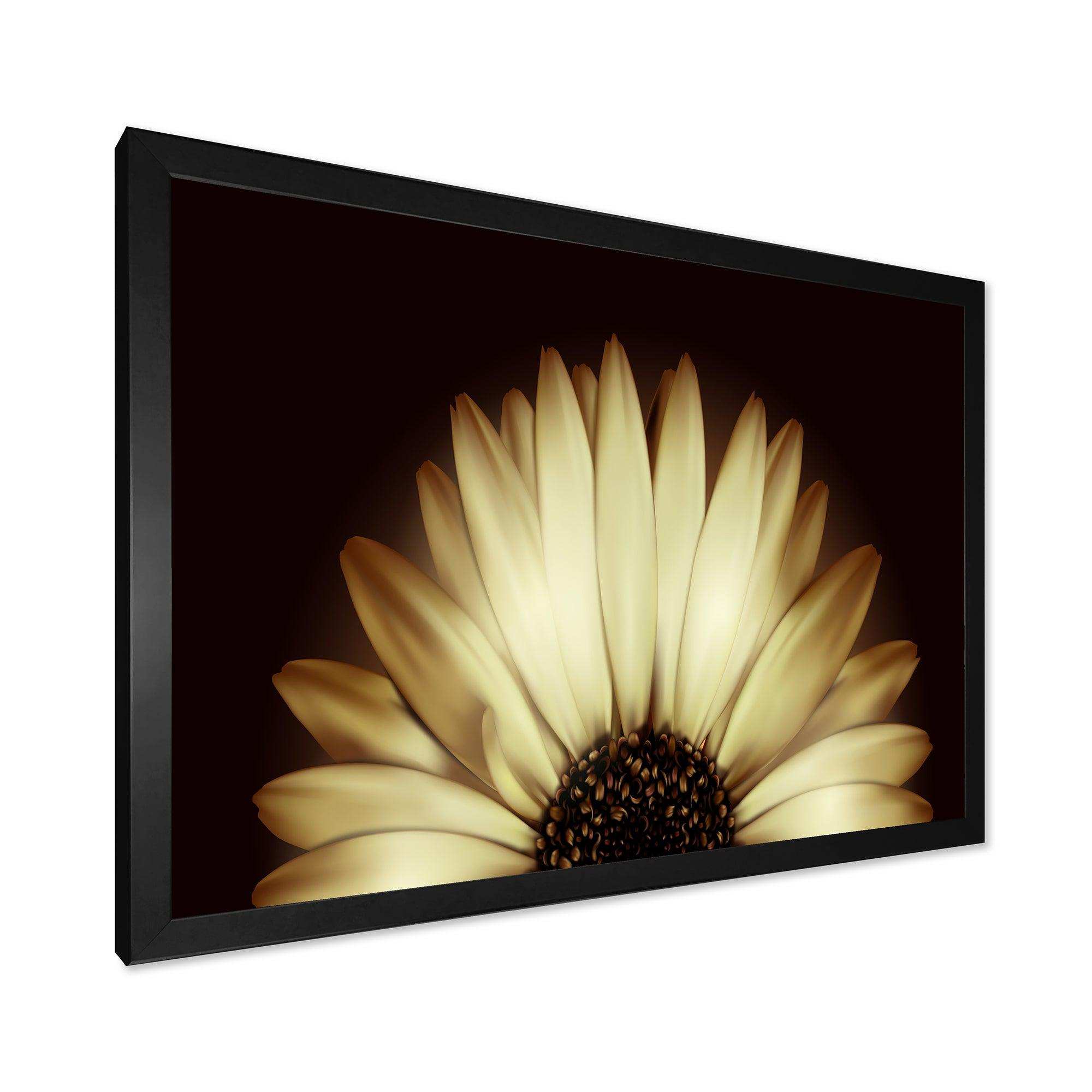 Sunflower in Black background