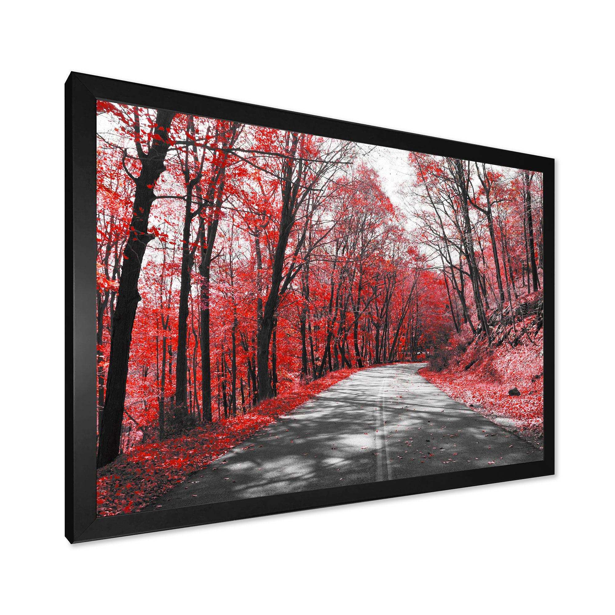 Patch in Red Forest
