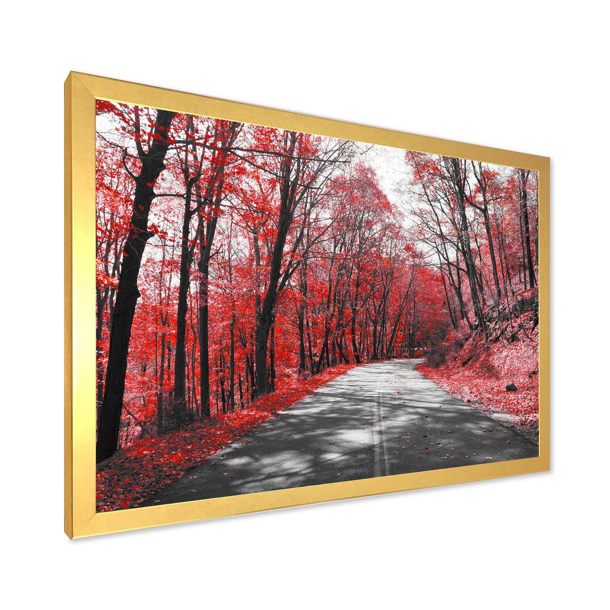 Patch in Red Forest