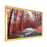 Patch in Red Forest