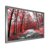 Patch in Red Forest